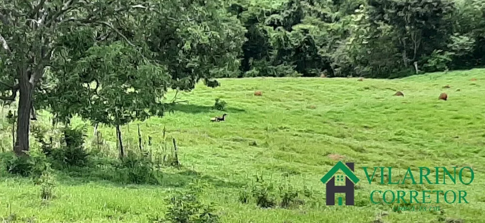 Terreno à venda, 10m² - Foto 3