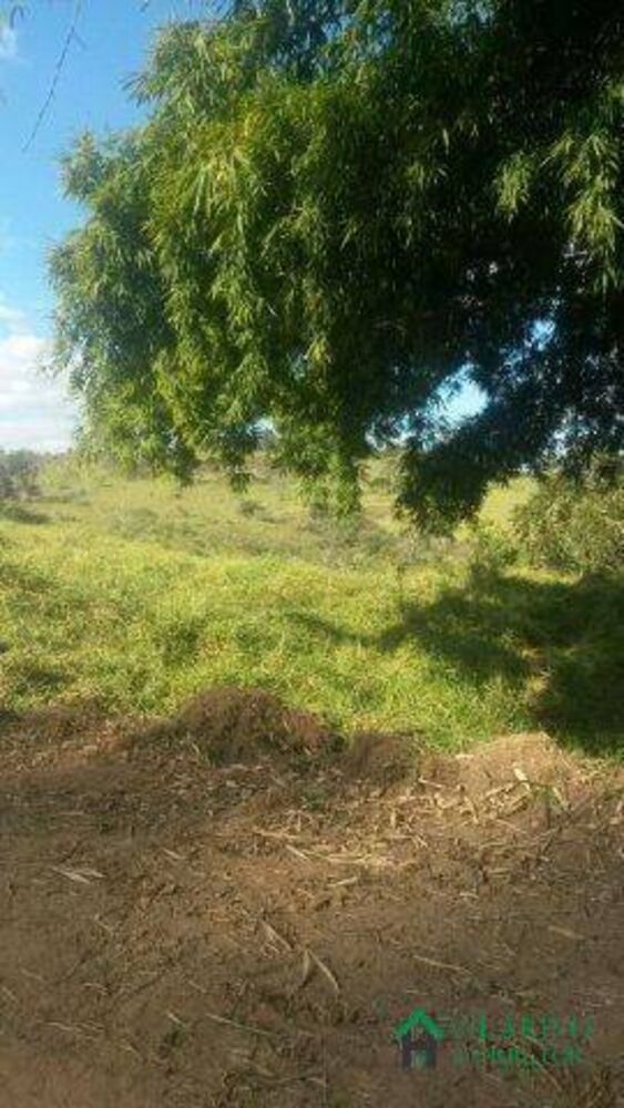 Fazenda, 500 m² - Foto 4