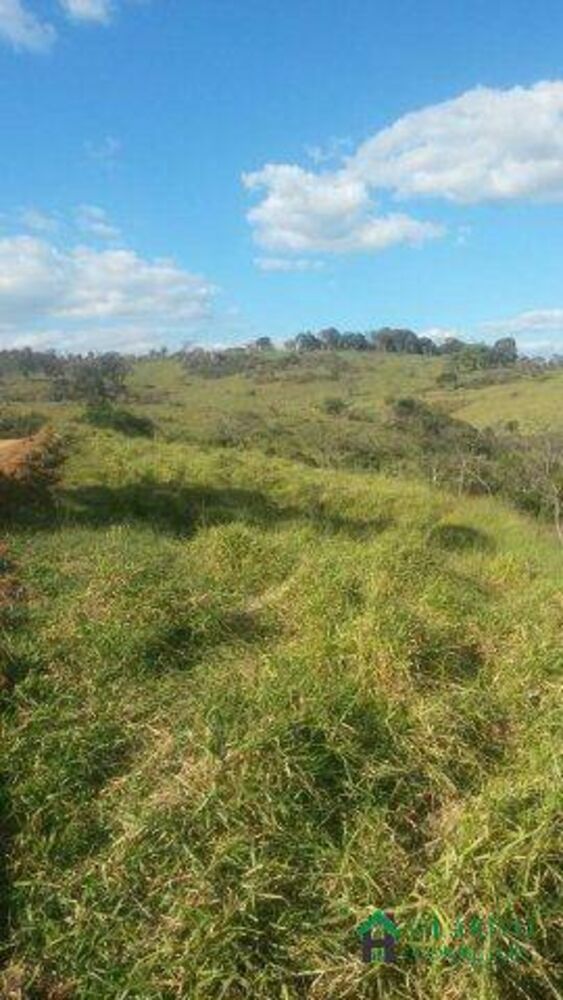 Fazenda, 500 m² - Foto 8