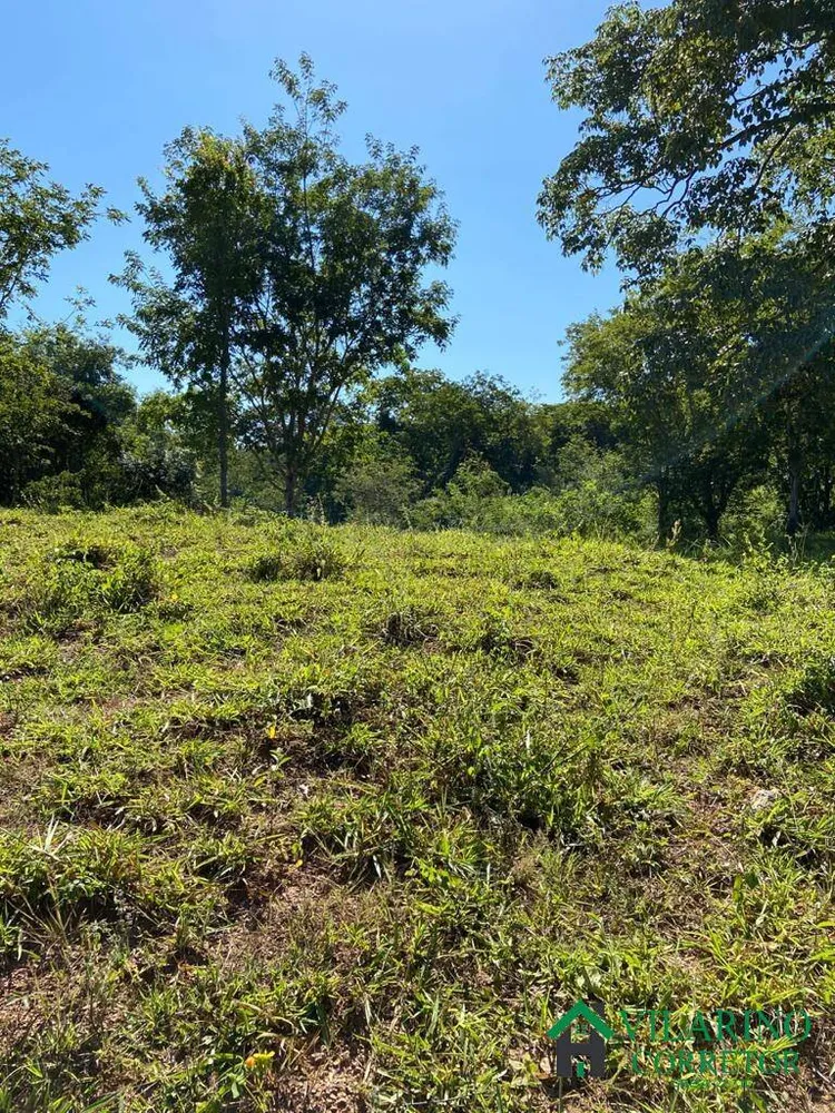 Fazenda, 213 hectares - Foto 4