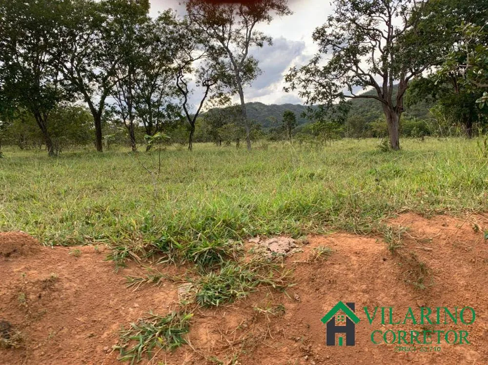 Fazenda, 213 hectares - Foto 6