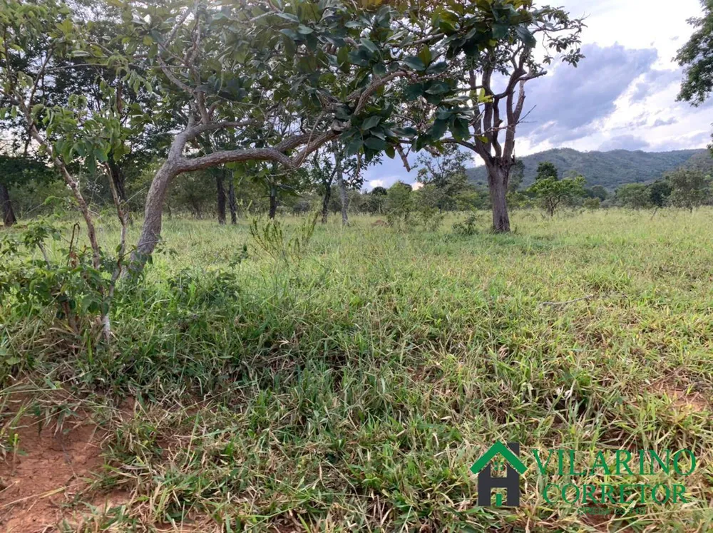 Fazenda, 213 hectares - Foto 3