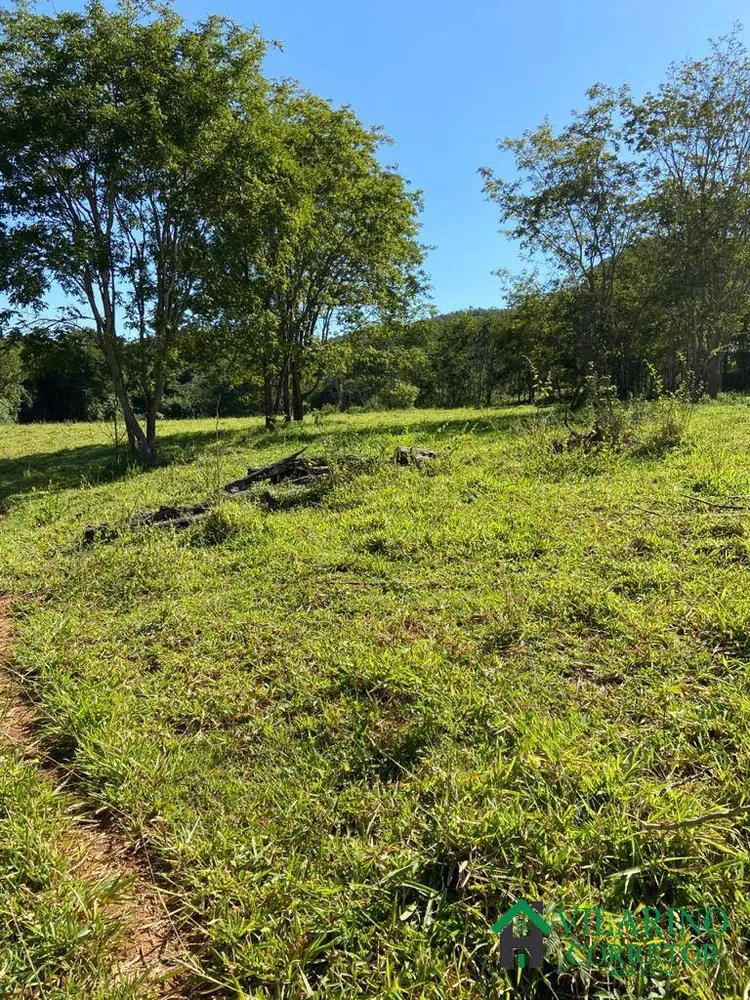 Fazenda, 213 hectares - Foto 1