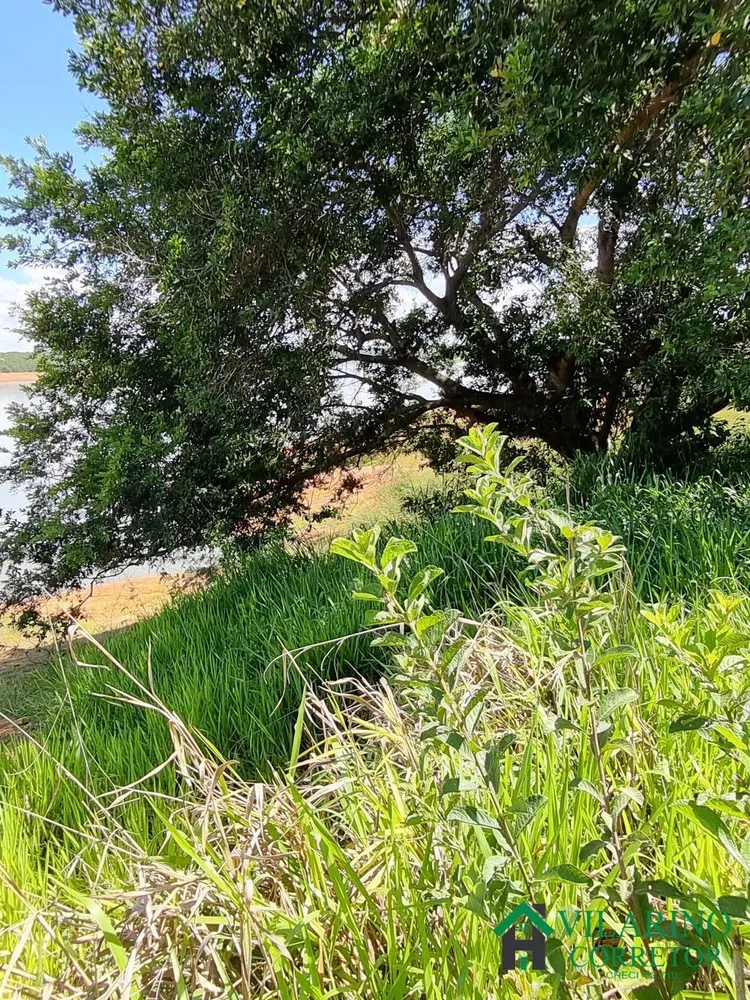 Terreno, 3 hectares - Foto 2