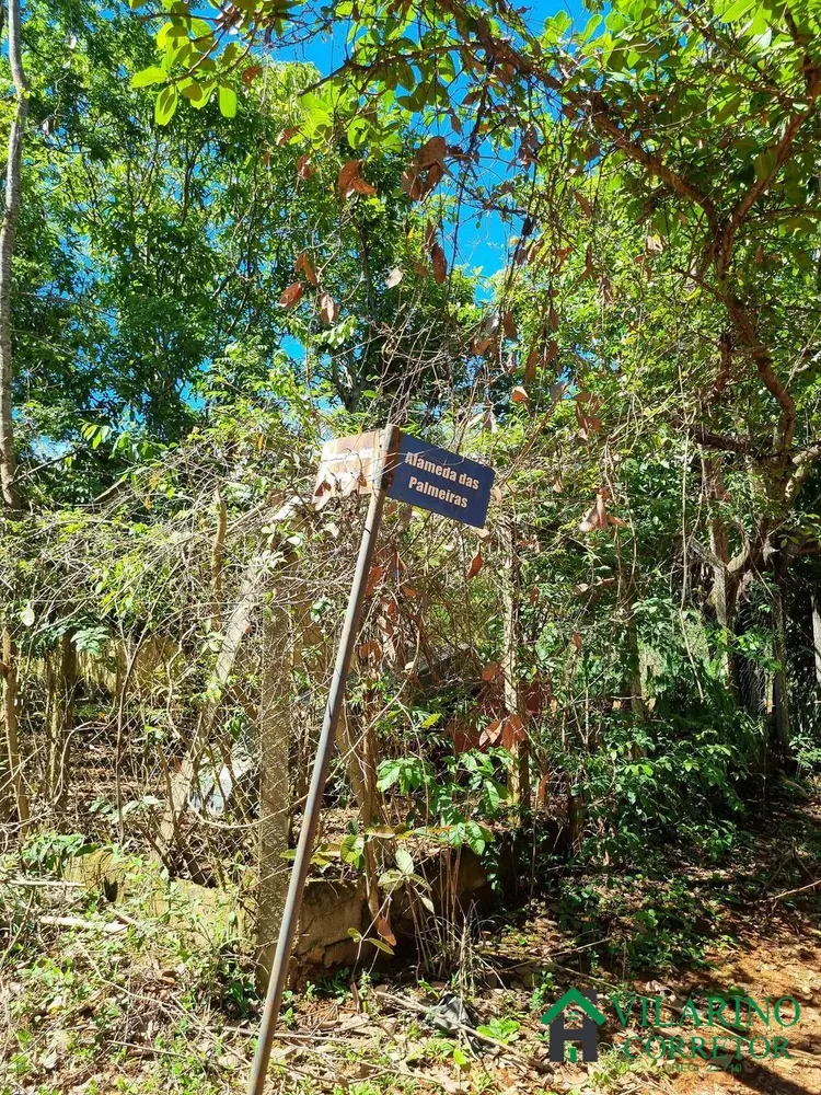 Terreno, 3 hectares - Foto 8