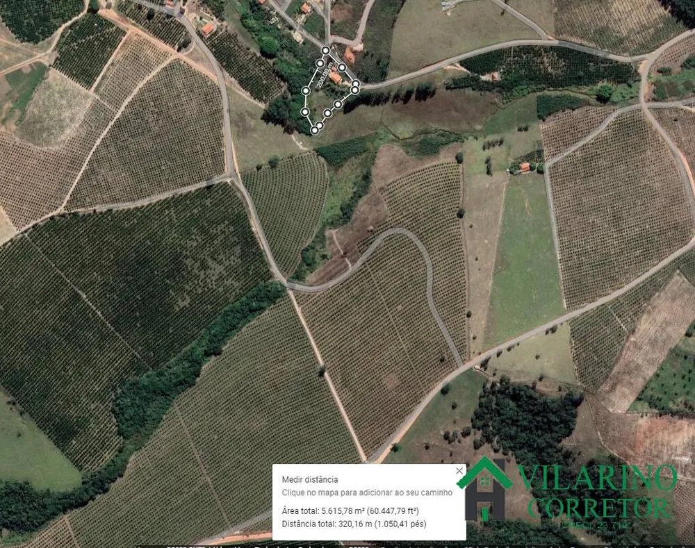 Sítio, 3 quartos, 5000 m² - Foto 1