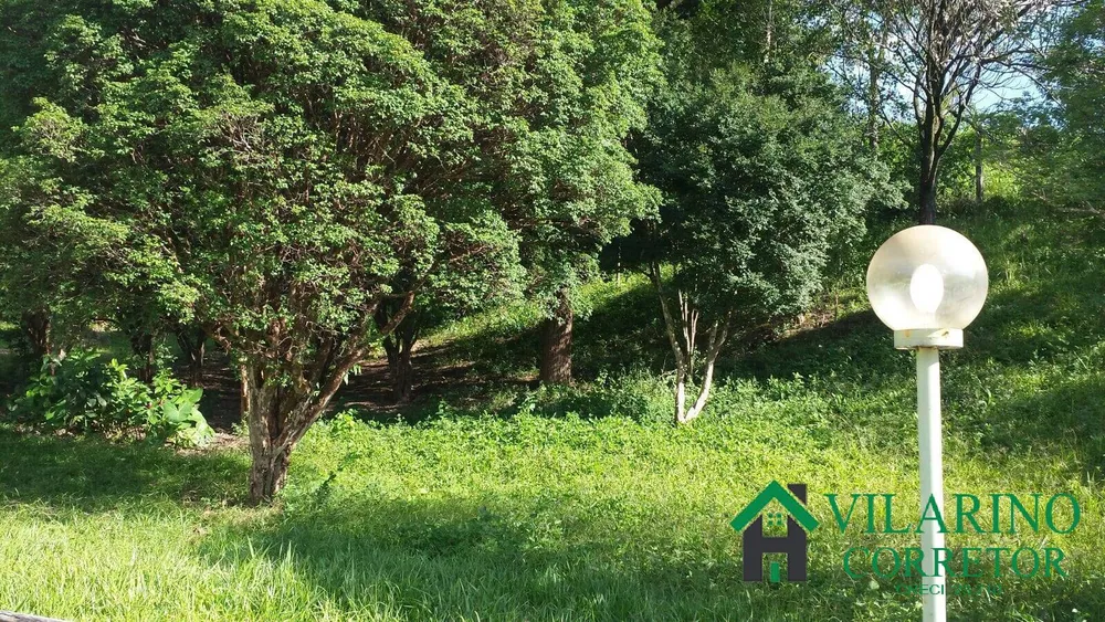 Terreno, 5 hectares - Foto 6