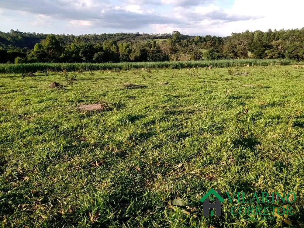 Terreno, 100 hectares - Foto 2
