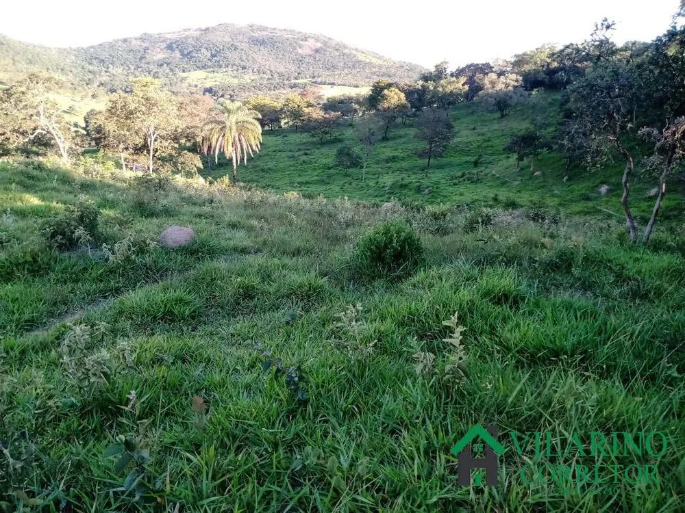 Terreno, 100 hectares - Foto 4