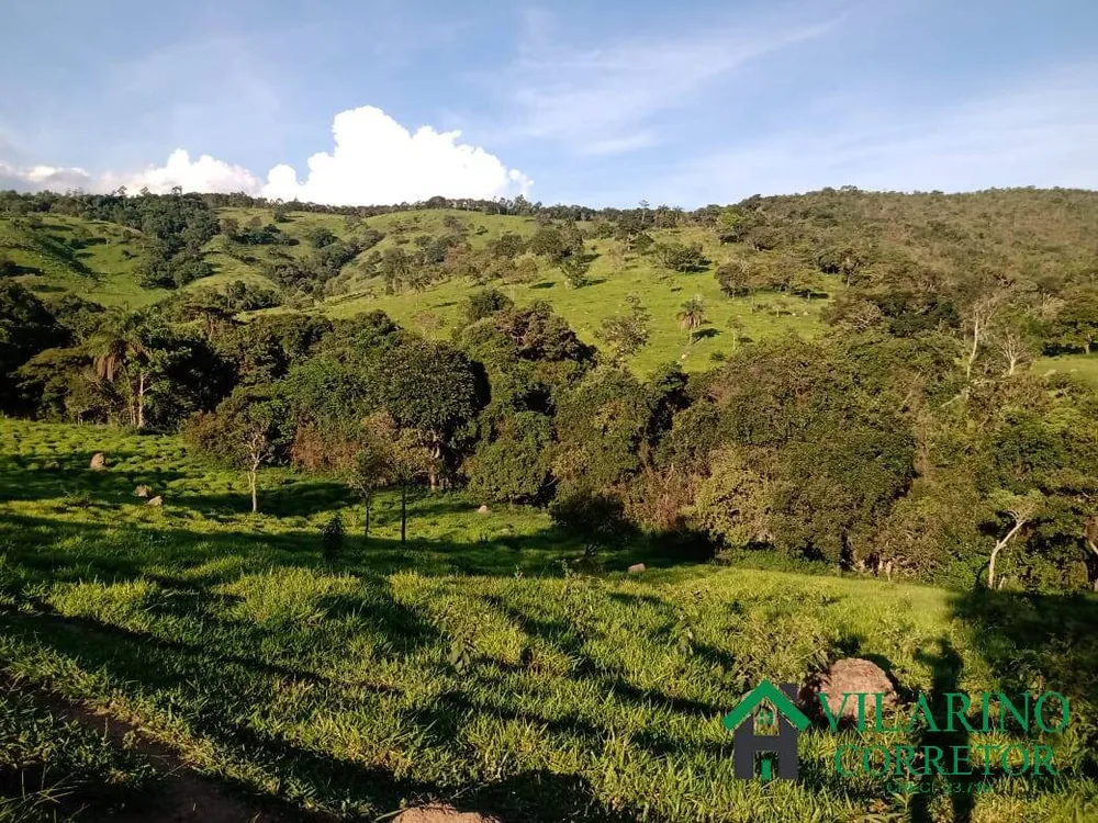 Terreno, 100 hectares - Foto 3