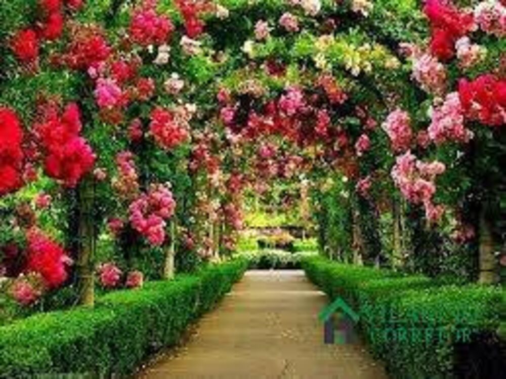 Casa, 7 quartos, 800 m² - Foto 5