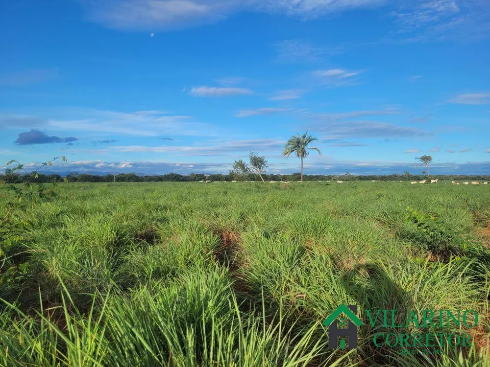 Fazenda, 610 hectares - Foto 4