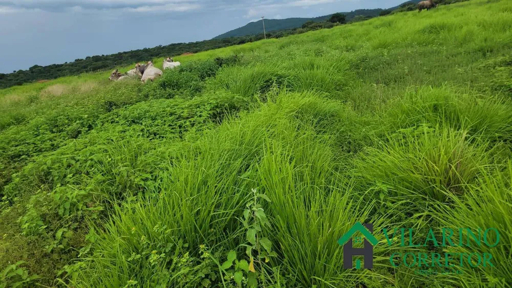 Fazenda, 610 hectares - Foto 2