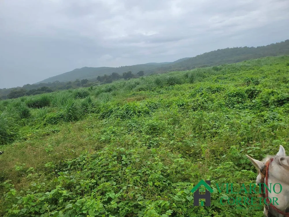 Fazenda, 610 hectares - Foto 3