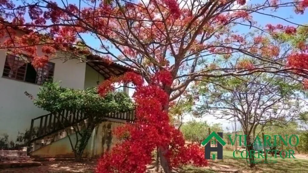 Sítio, 3 quartos, 10000 m² - Foto 3