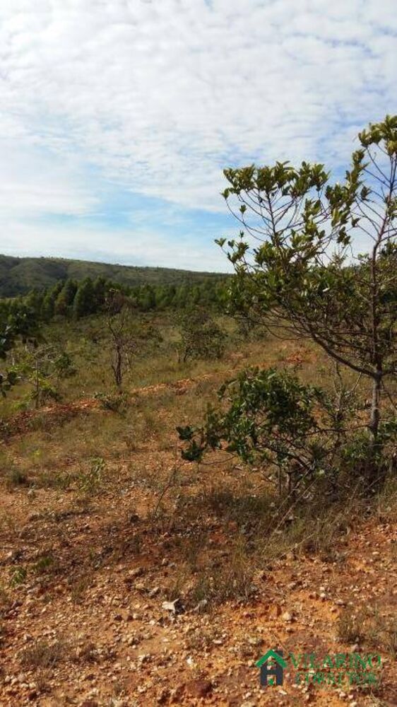 Terreno, 5000 m² - Foto 7