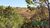 Terreno, 5000 m² - Foto 4