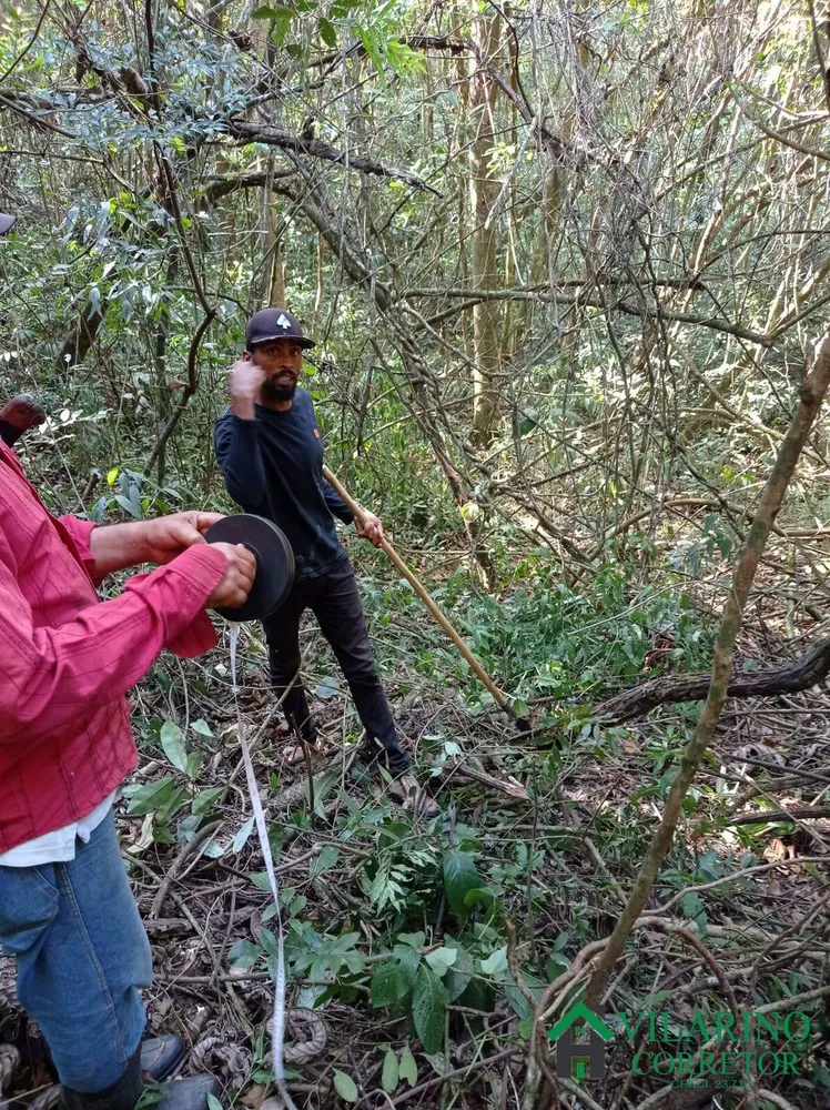 Terreno, 2280 m² - Foto 3
