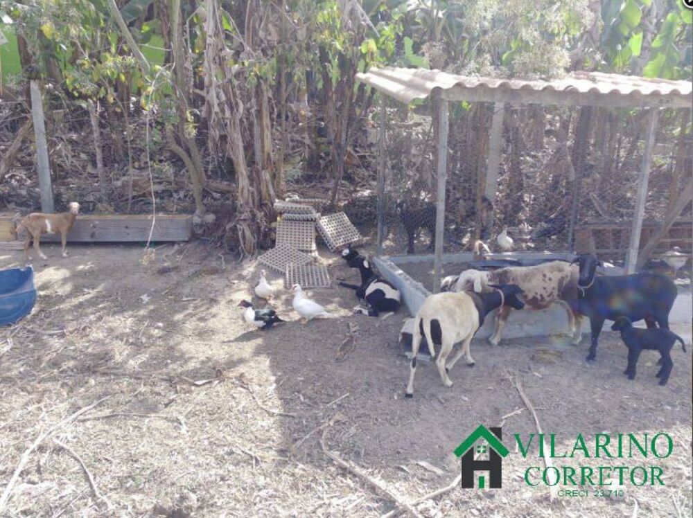 Sítio à venda com 3 quartos, 250m² - Foto 6