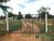 Sítio, 4 quartos, 100 m² - Foto 6