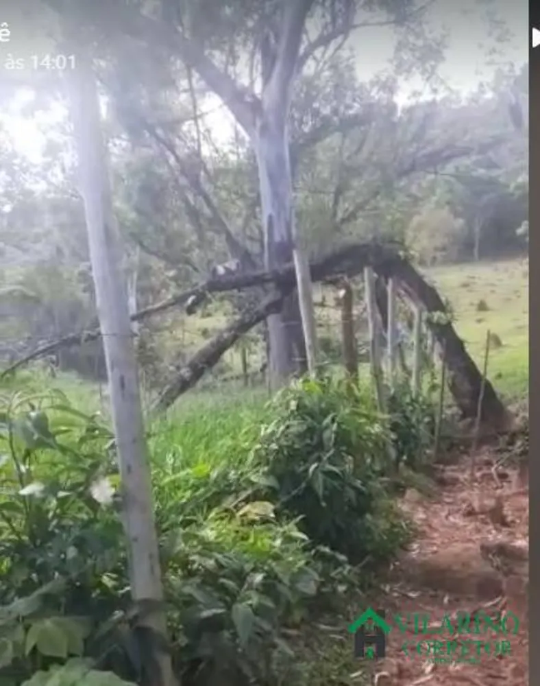 Sítio, 3 quartos, 10 hectares - Foto 4
