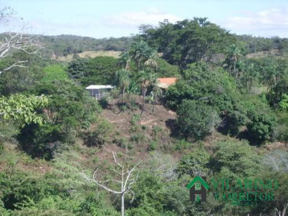 Terreno, 2 hectares - Foto 4