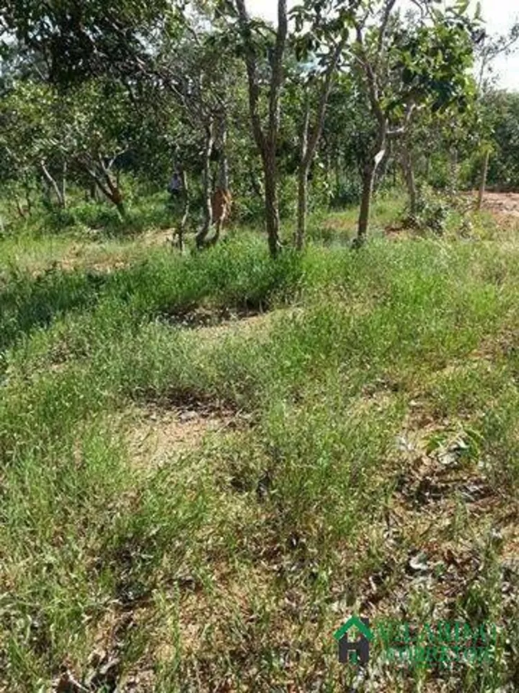 Terreno, 1000 m² - Foto 2