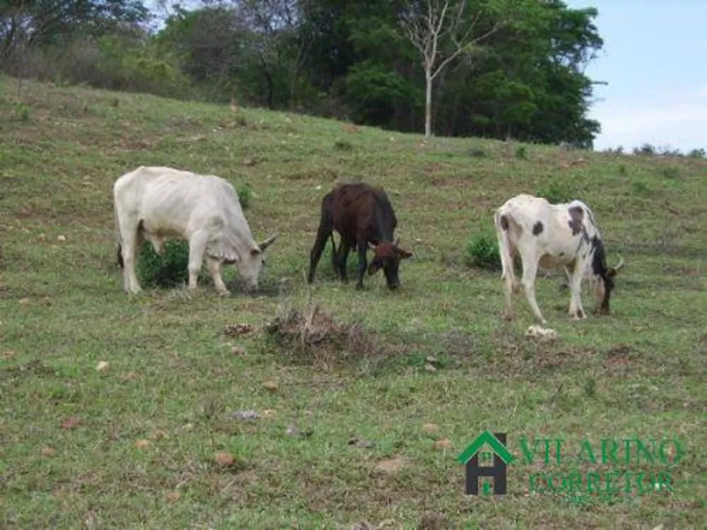 Terreno, 2 hectares - Foto 9