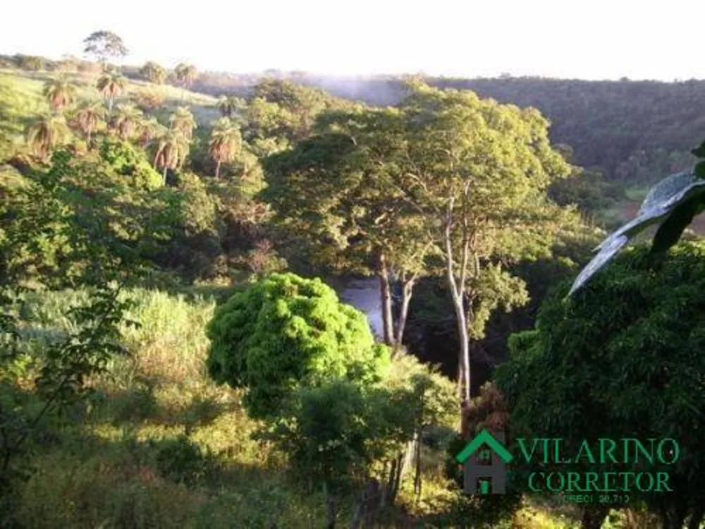 Terreno, 2 hectares - Foto 6