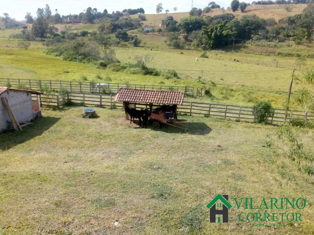 Fazenda, 44 hectares - Foto 4