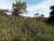 Terreno, 1096 m² - Foto 3