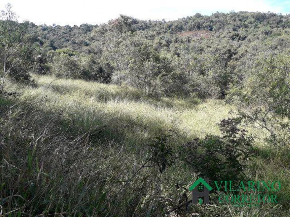 Terreno, 3 hectares - Foto 3