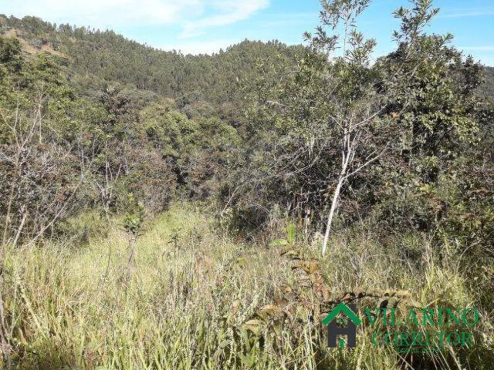 Terreno, 3 hectares - Foto 1