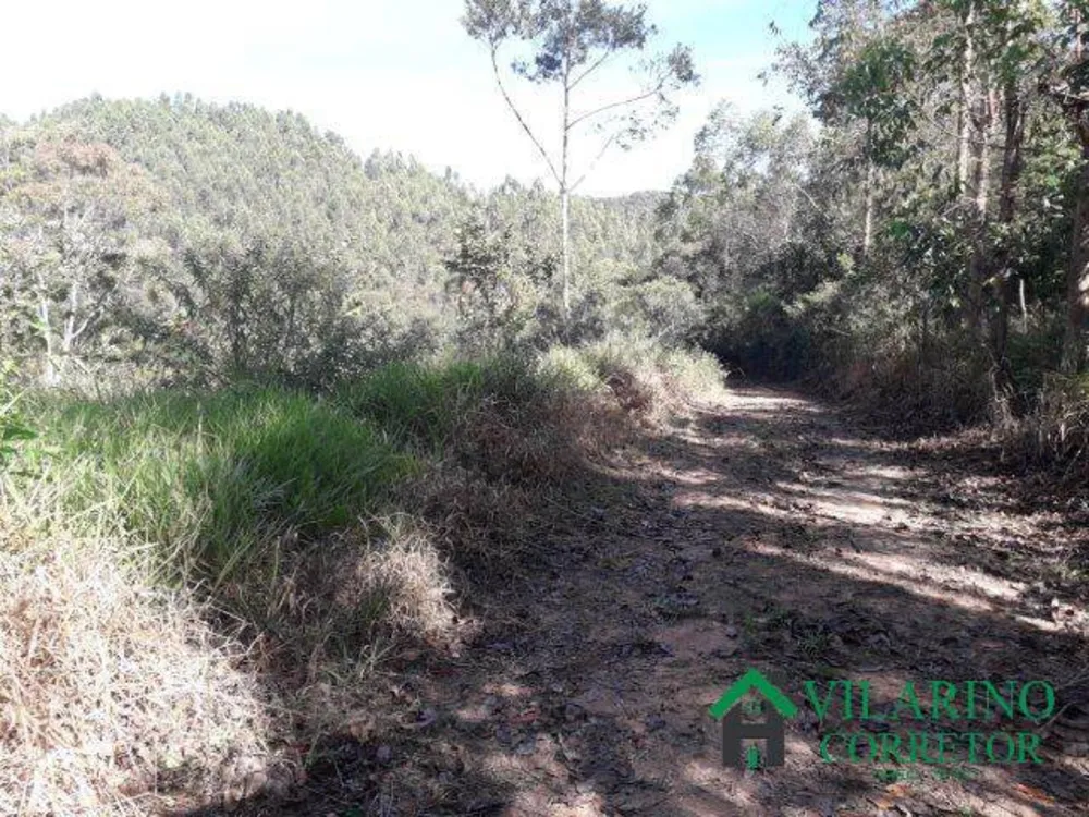 Terreno, 3 hectares - Foto 4