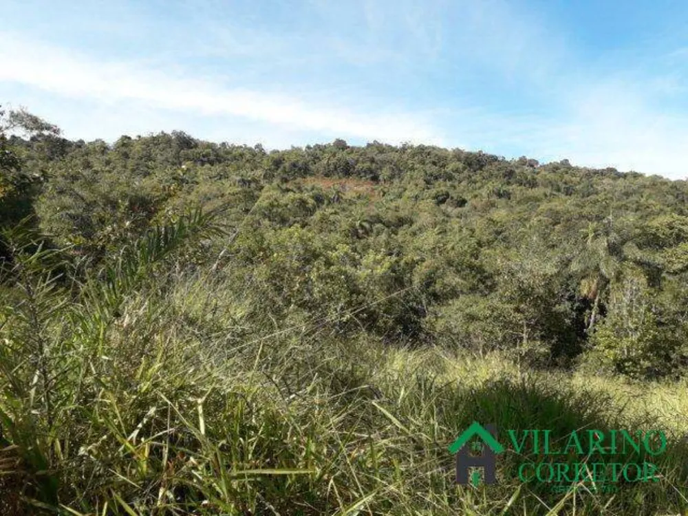 Terreno, 3 hectares - Foto 4