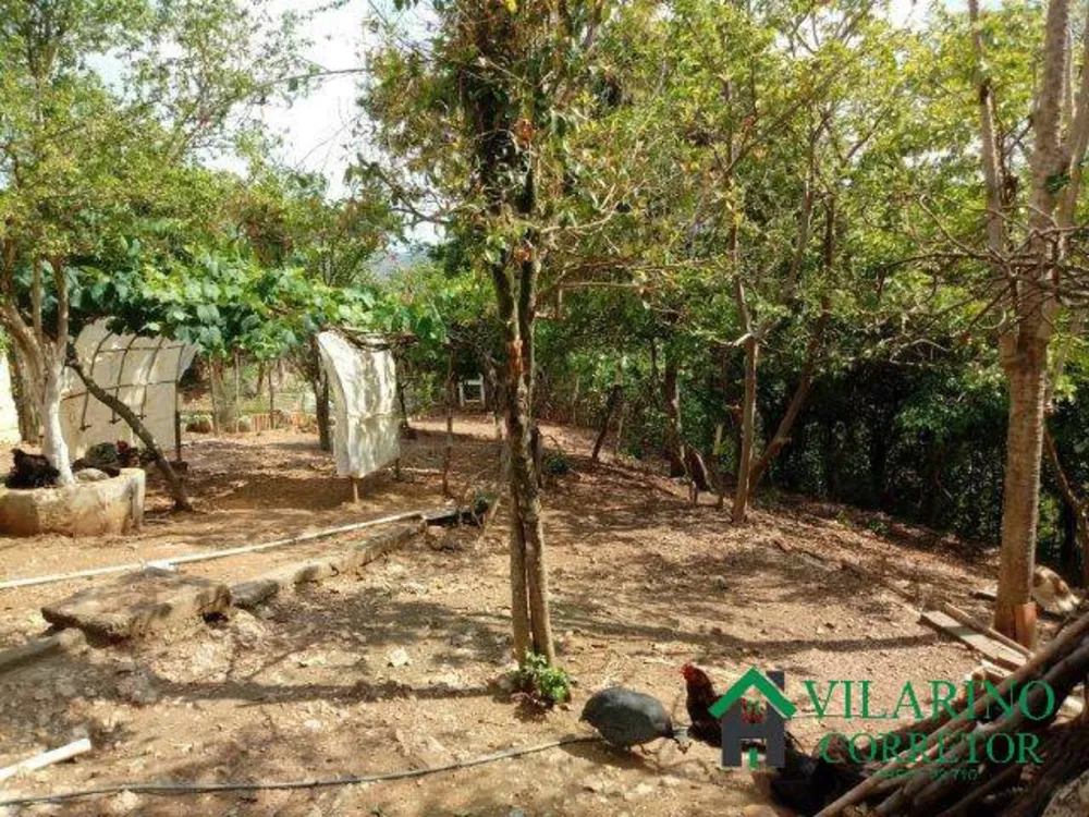Casa, 3 quartos, 20 m² - Foto 3