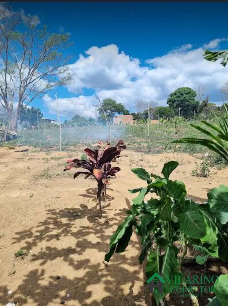 Terreno à venda, 10m² - Foto 3