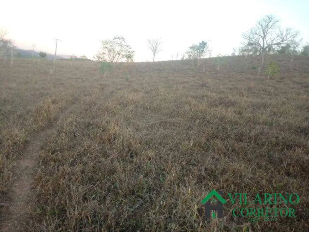 Terreno, 8000 m² - Foto 2