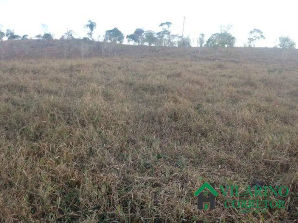 Terreno, 8000 m² - Foto 1