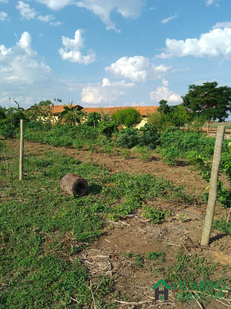 Fazenda à venda com 3 quartos, 200m² - Foto 4