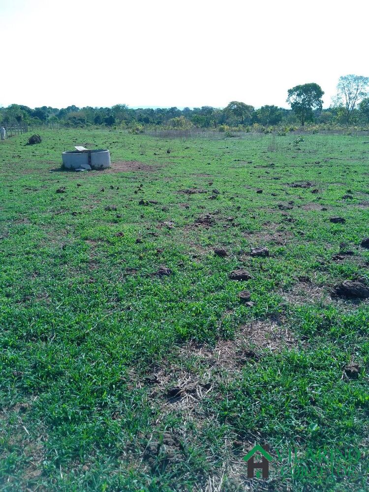 Fazenda à venda com 3 quartos, 200m² - Foto 3