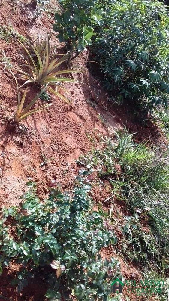 Terreno, 7500 m² - Foto 7