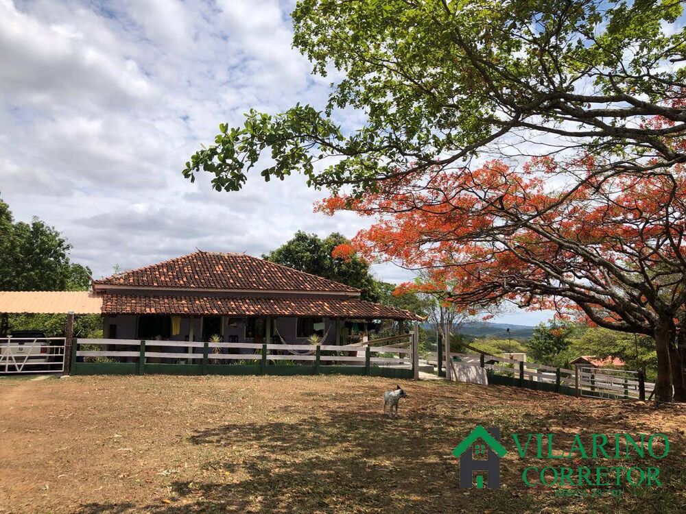 Fazenda, 15 hectares - Foto 8