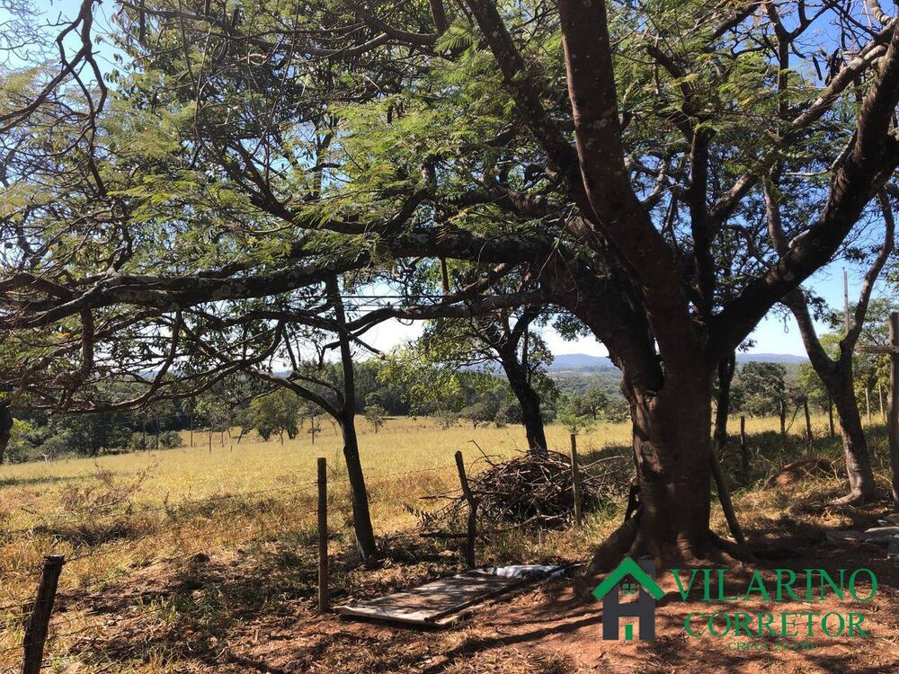 Fazenda, 15 hectares - Foto 5