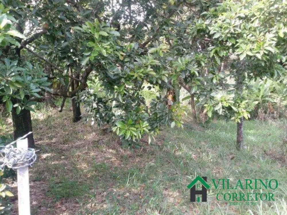 Terreno, 3000 m² - Foto 3
