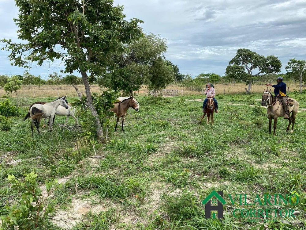 Fazenda, 1033 hectares - Foto 1