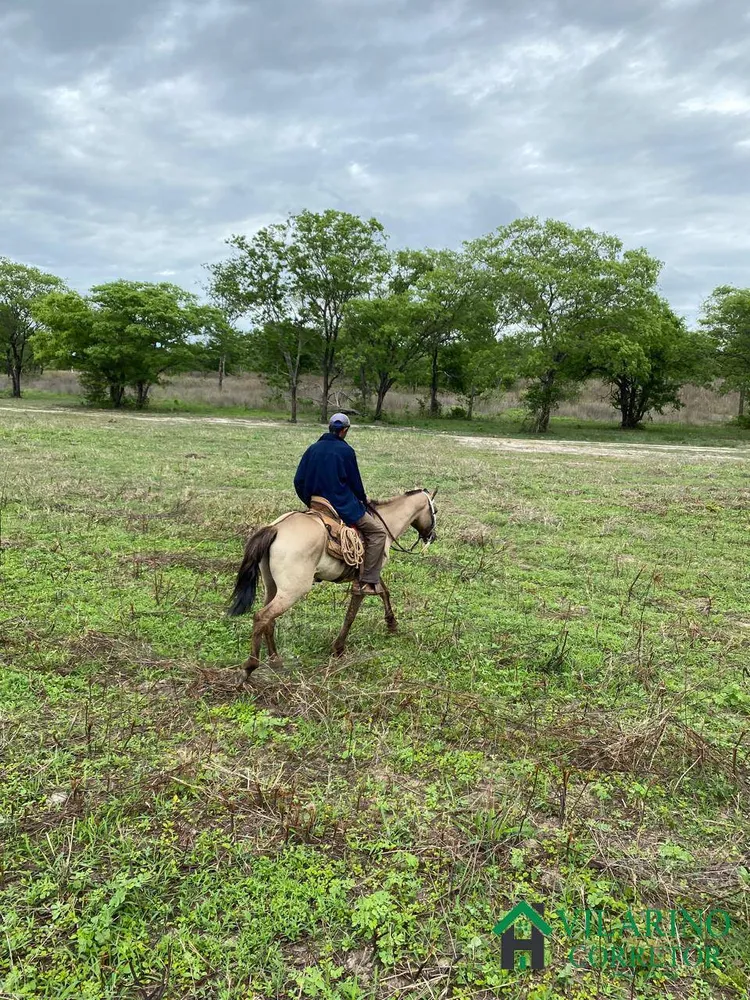 Fazenda, 1033 hectares - Foto 3