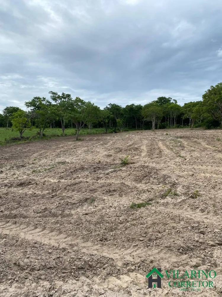 Fazenda, 1033 hectares - Foto 2