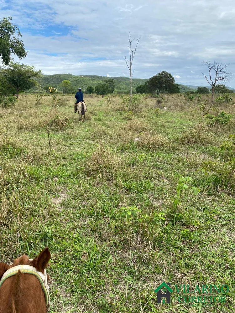 Fazenda, 1033 hectares - Foto 4