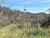 Terreno, 3 hectares - Foto 4
